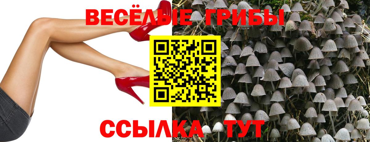 Псилоцибиновые грибы мицелий Кострома