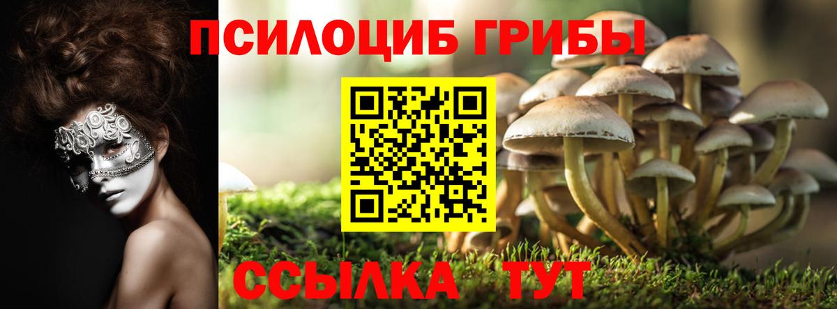 Кострома  Галлюциногенные грибы Magic Shrooms  Вход с VPN 